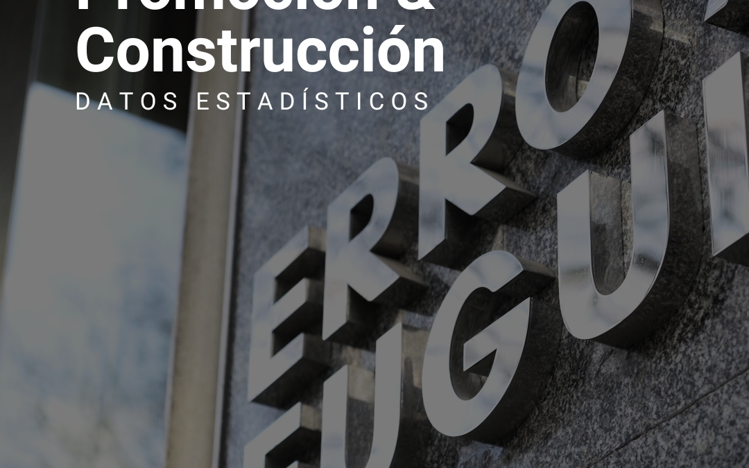 Promoción & Construcción – Datos estadísticos