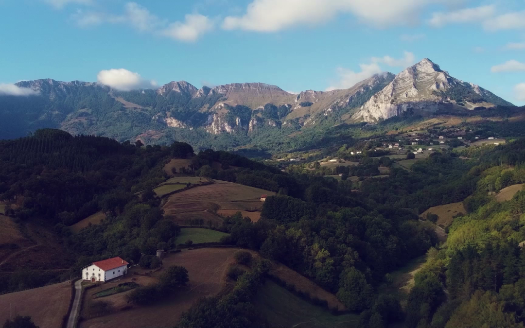 ¡Feliz Día de Navarra!