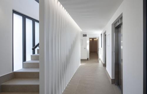 lezcairu-universidades-escaleras02